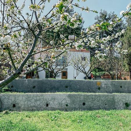 Villa Milea Mansion Limassol Exterior foto